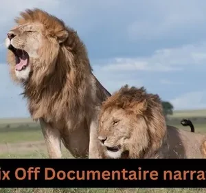 Narration & Documentaire